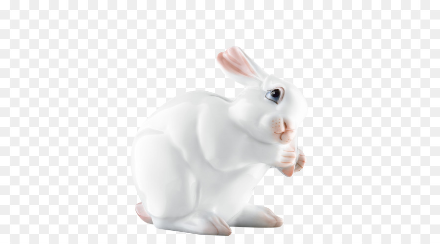 Coelho Branco，Coelhinho PNG