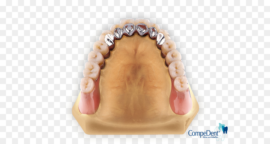 Dente，Laboratório De Prótese Dentária PNG