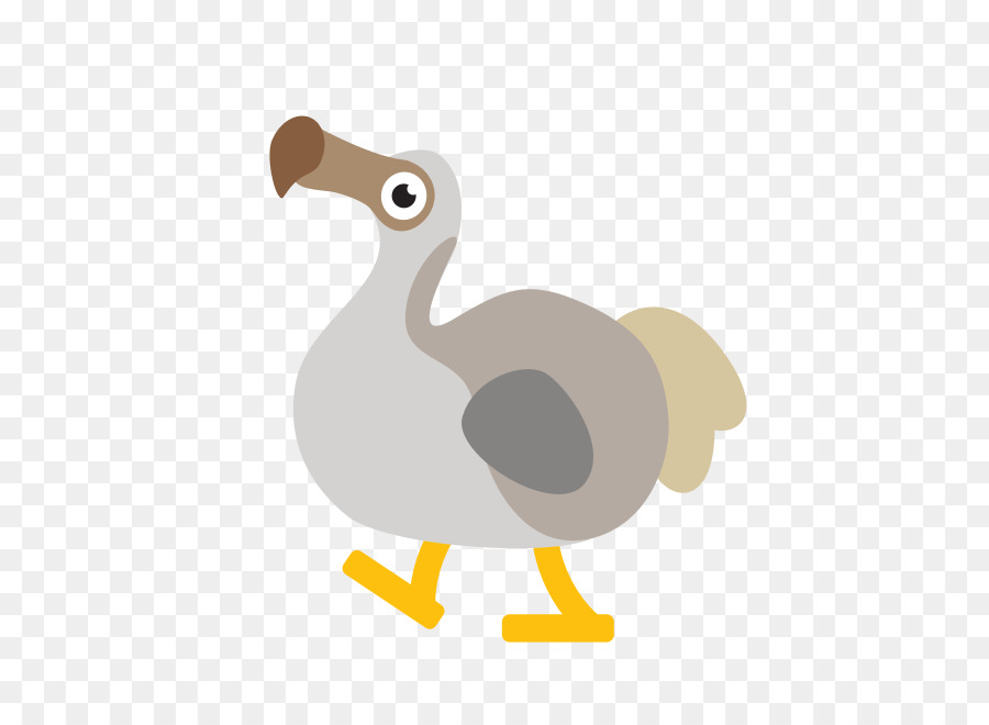 Pato，Aves PNG