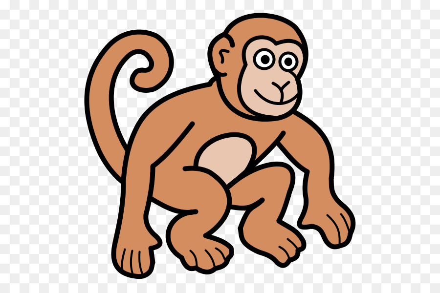 Macaco，Primata PNG