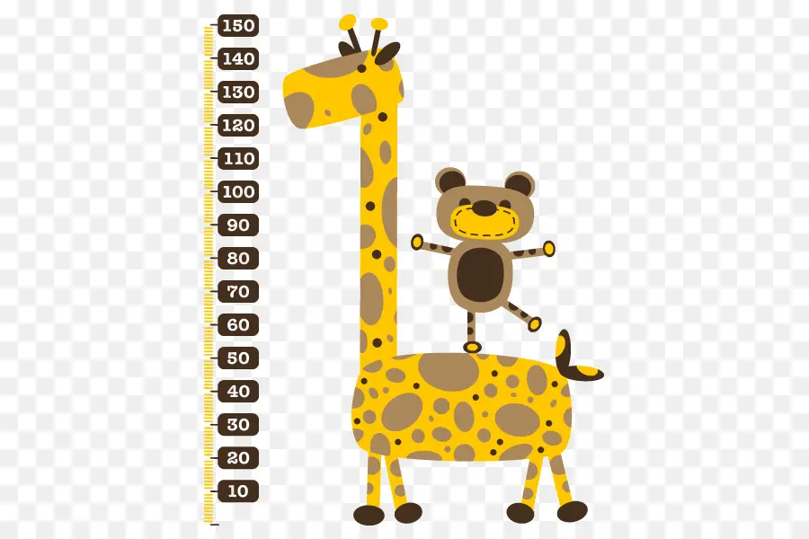 Girafa E Urso，Gráfico De Altura PNG