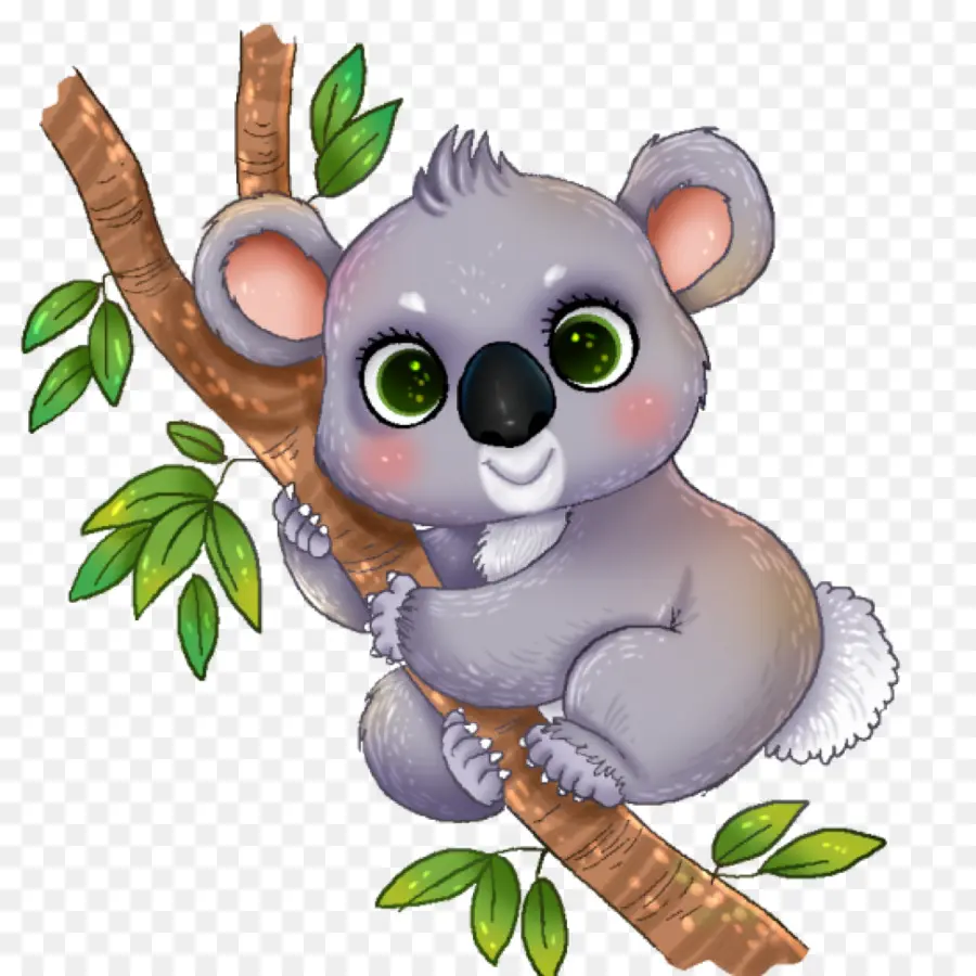Koala，Download PNG