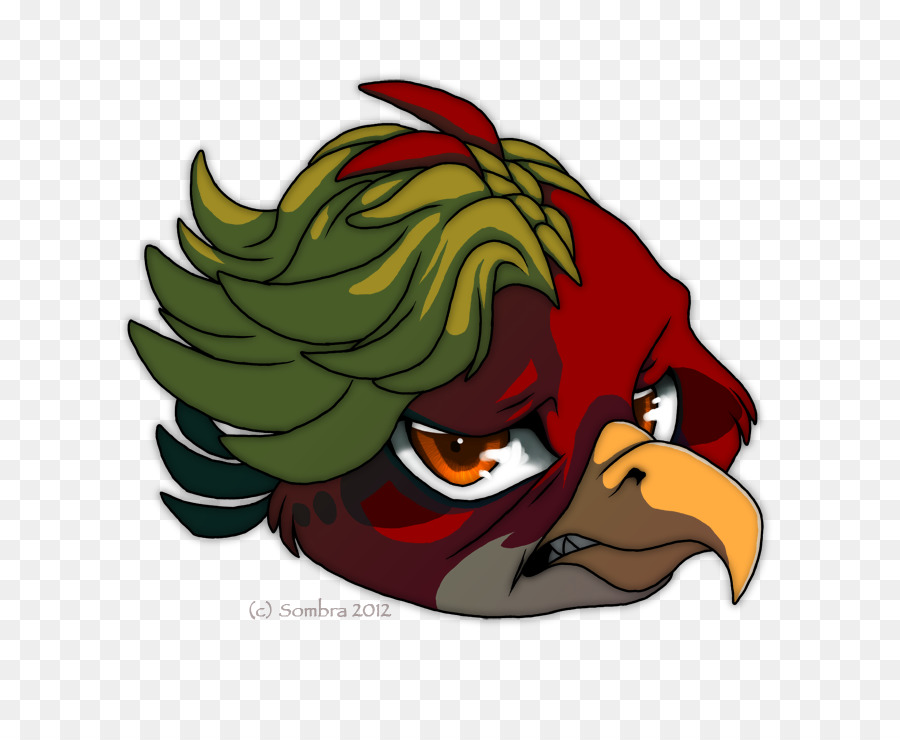 Bico，Aves PNG