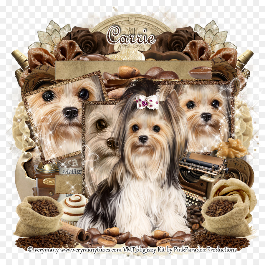 Yorkshire Terrier，Morkie PNG