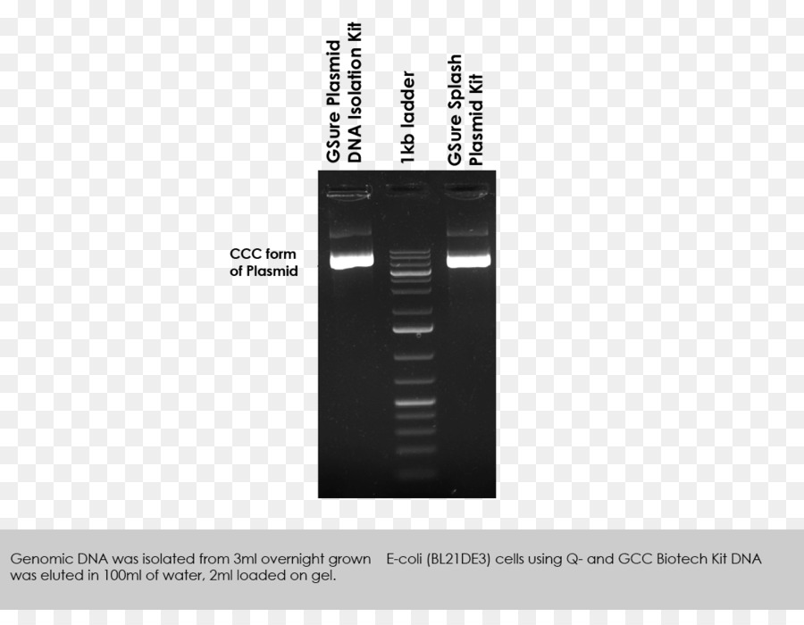 Plasmidial，Preparação Plasmidial PNG