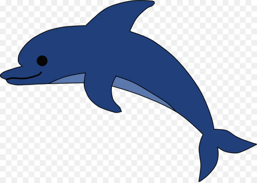 Desenho，Dolphin PNG