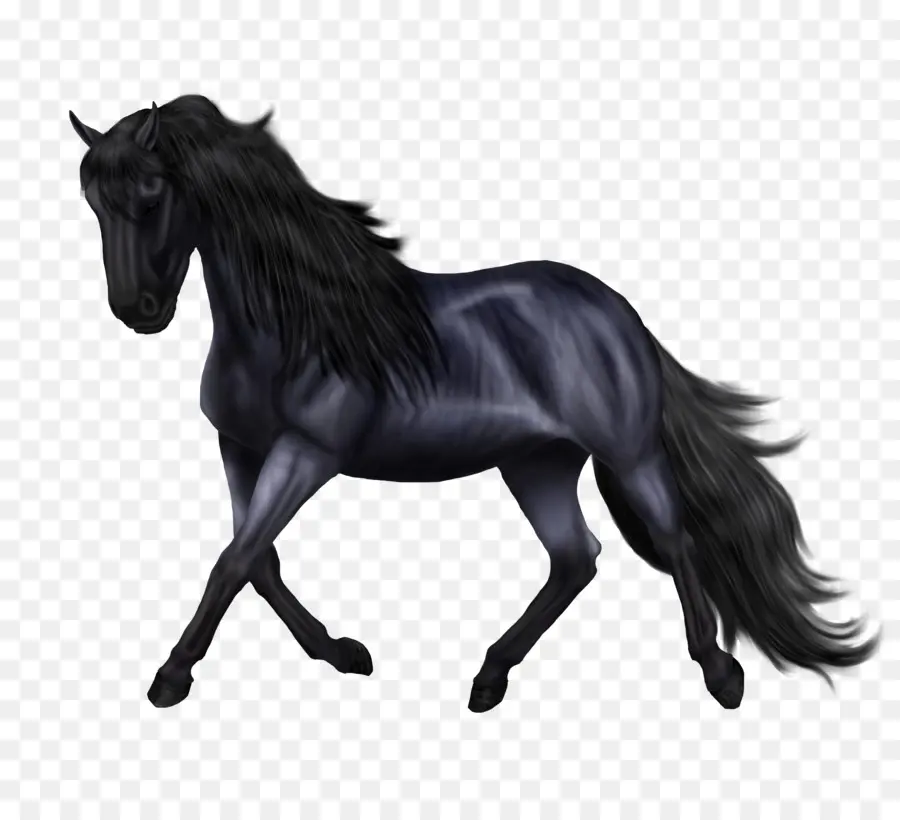 Muitas Cavalo，Muitas Sporthorse PNG