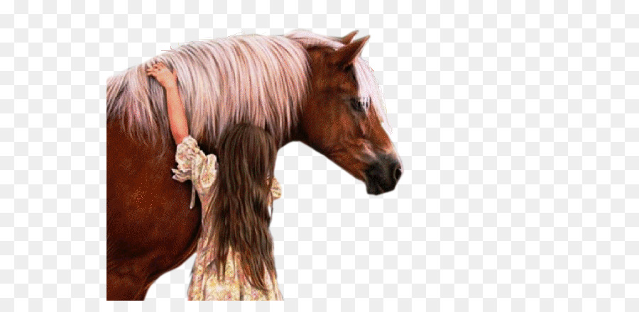 Cavalo，Pintura PNG