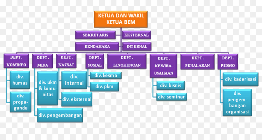 Badan Eksekutif Mahasiswa，Organização PNG