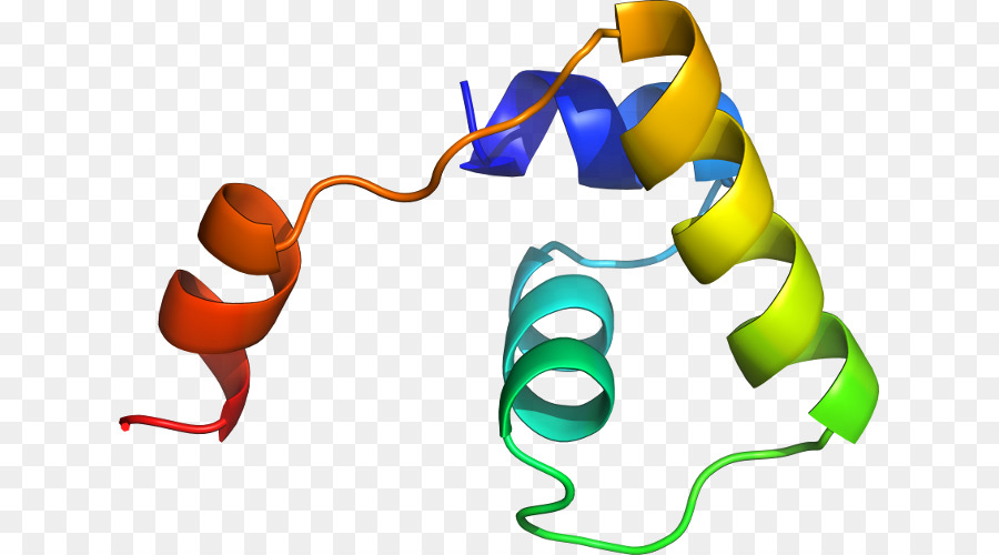 Hélice De Proteína，Molécula PNG