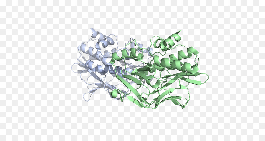 Estrutura Proteica，Molécula PNG