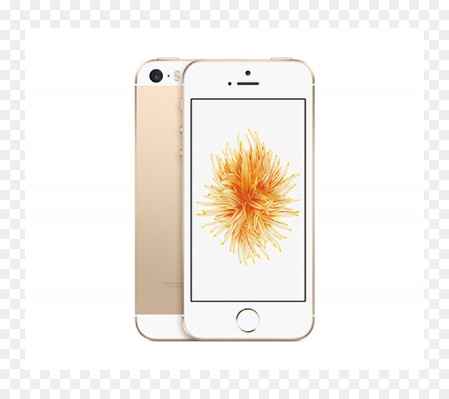 Iphone Se，Ouro PNG