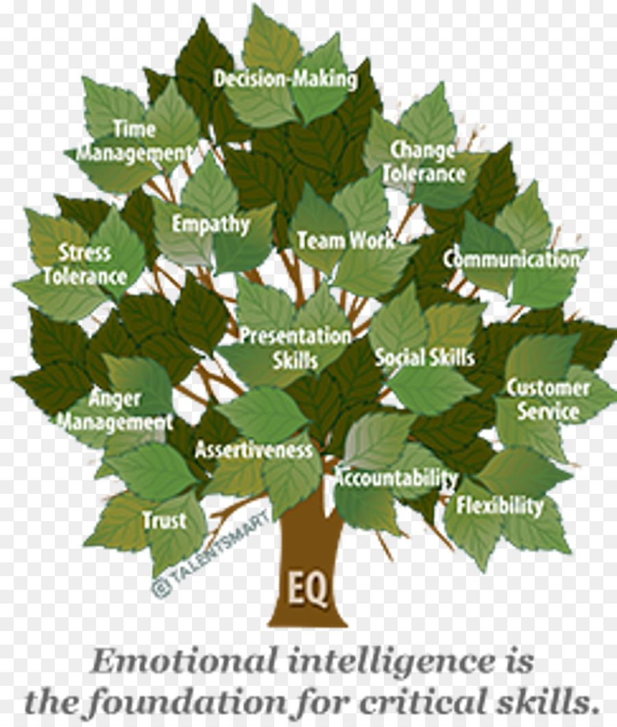 Inteligência Emocional，Inteligência PNG