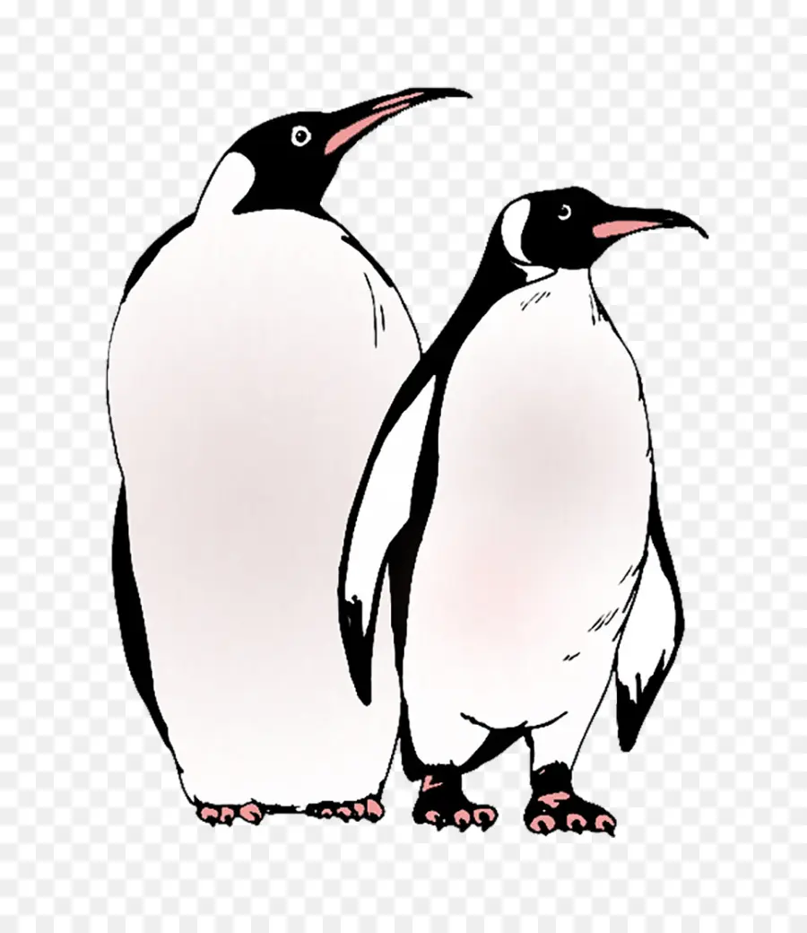 Pinguins，Pássaros PNG