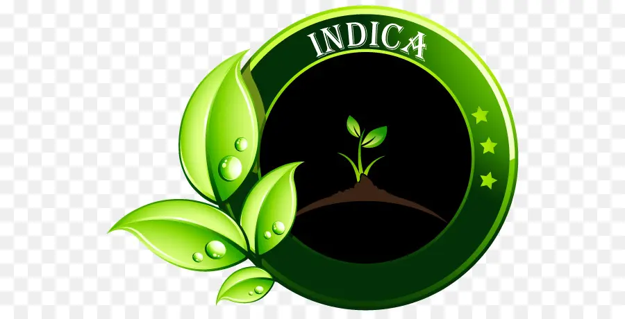 Indica，Plantar PNG