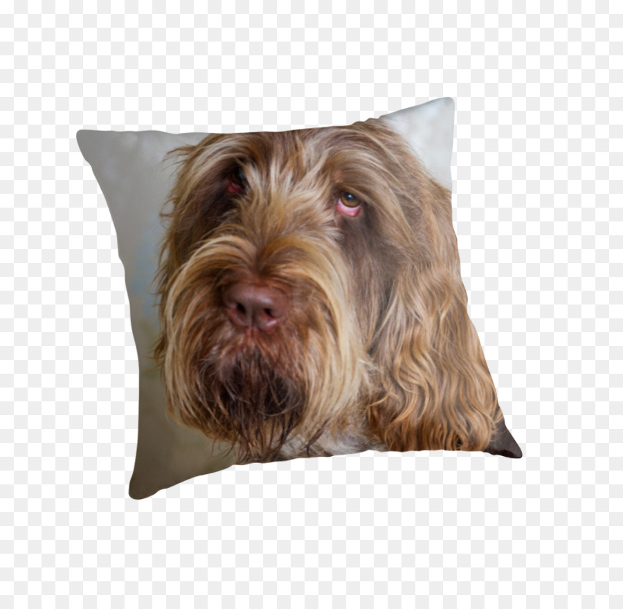 Glen，Wirehaired Apontando Grifo PNG