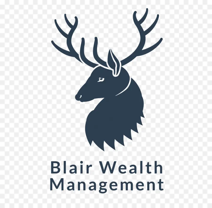 Logotipo Da Blair Wealth Management，Logotipo PNG