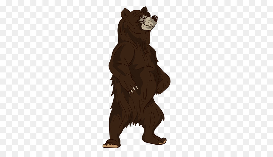 Urso，De Pé PNG