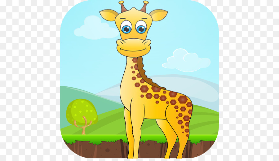 Girafa，Leopard PNG