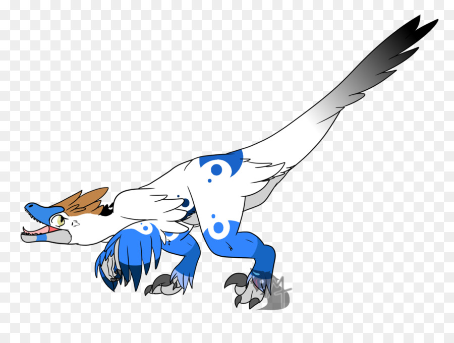 Bico，Aves PNG