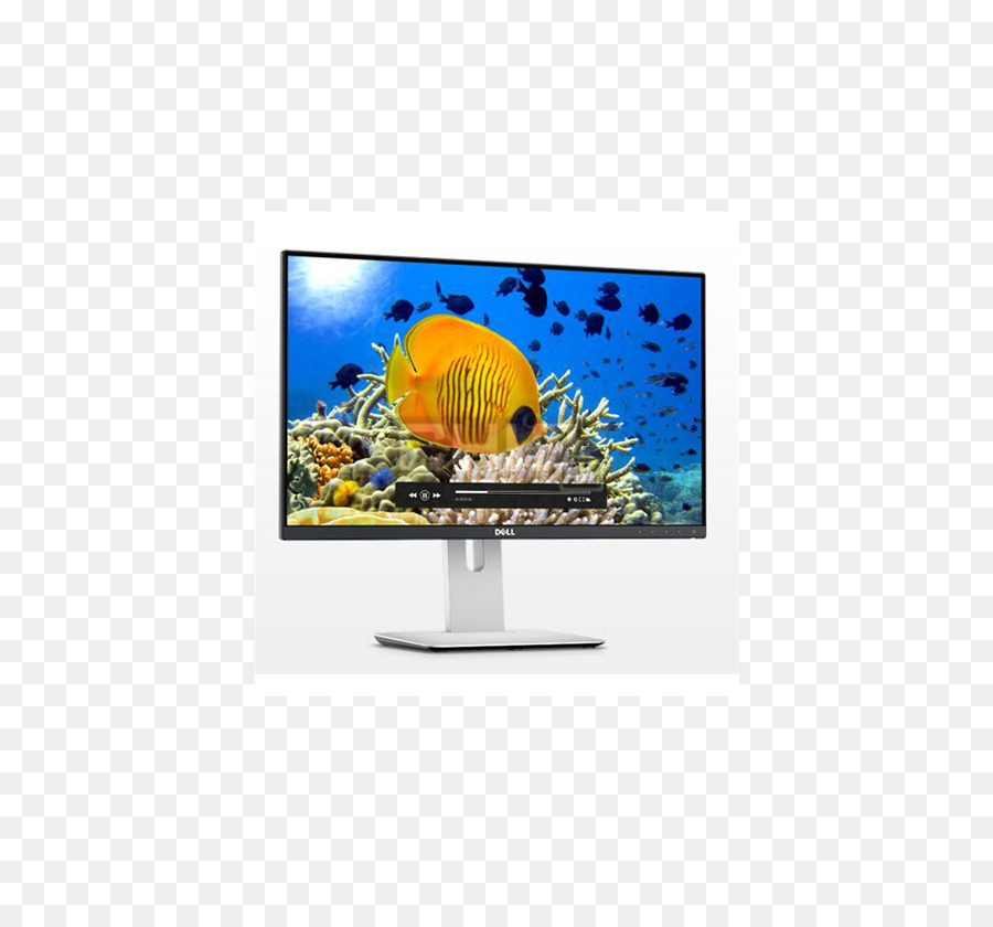 A Dell，Painel Ips PNG