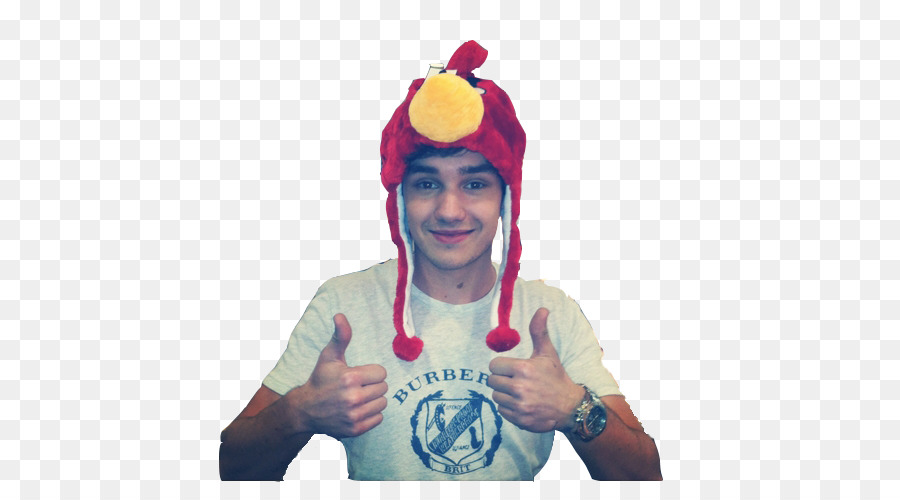 Liam Payne，Uma Direção PNG