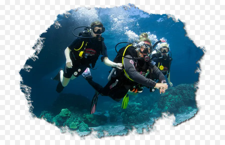 Scuba Diving，Roupa Seca PNG