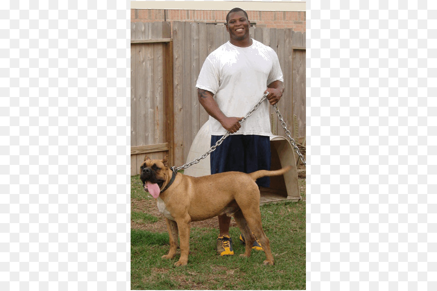 Raça Do Cão，Bullmastiff PNG