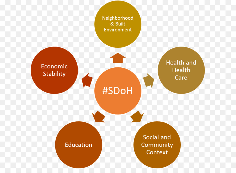 Determinantes Sociais Da Saúde，Organização PNG