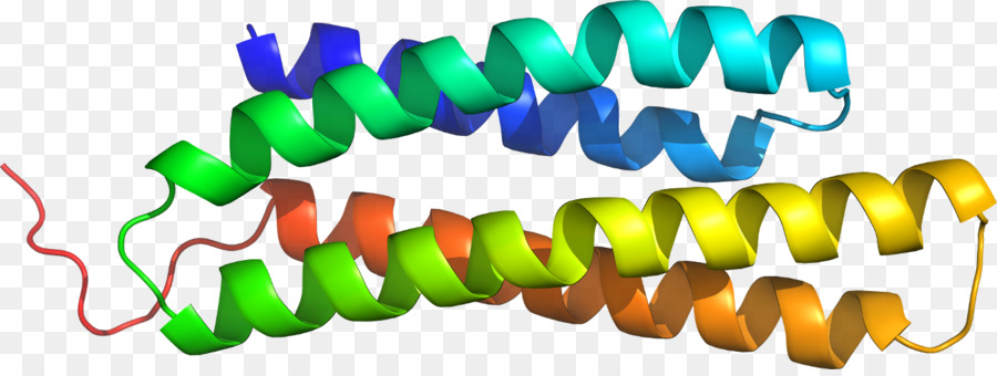 Hélice De Proteína，Molécula PNG