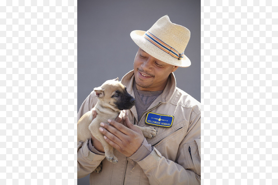 Presa Canario，Filhote De Cachorro PNG