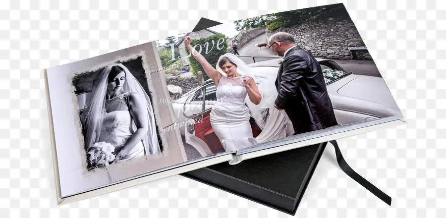 Álbum De Fotos De Casamento，Casado PNG