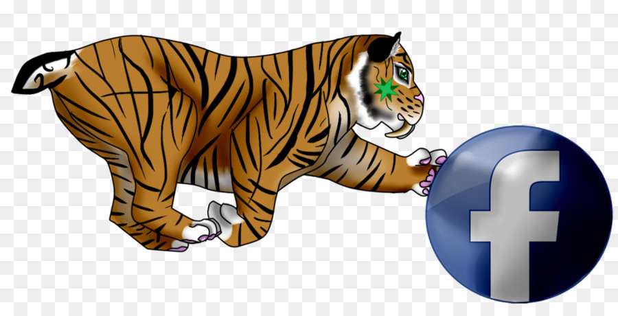 Tigre，Gato PNG