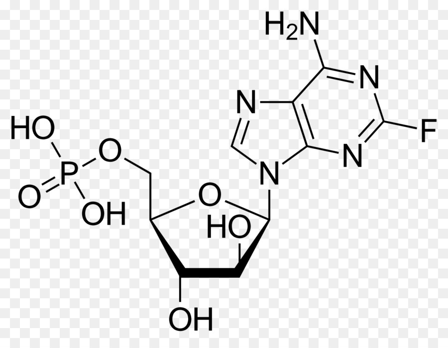 Fludarabina，Leucemia PNG