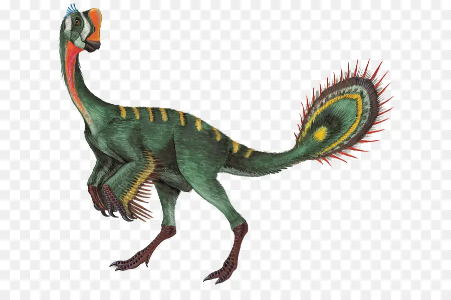 Nomingia，Oviraptor PNG