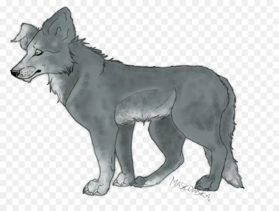 Lobo Cinzento，Coyote PNG