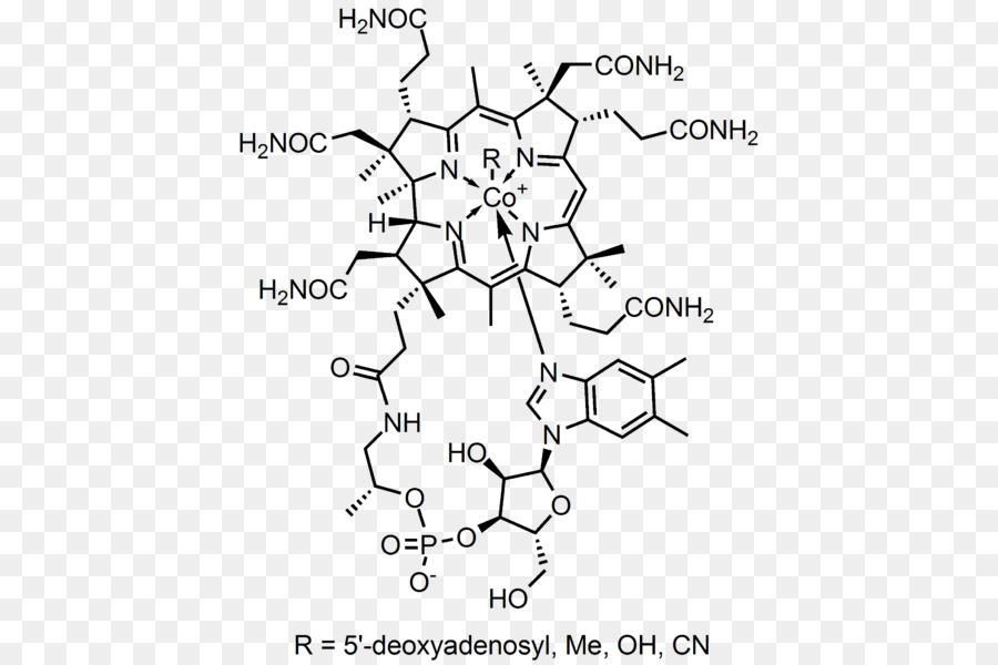 Estrutura Química，Molécula PNG