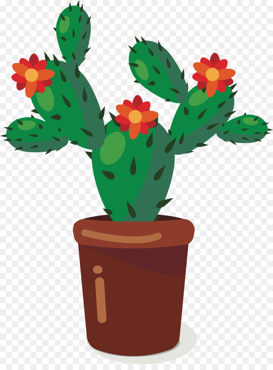 Cactus. Кактус. PNG. em 2023  Arte com cactos, Cactos desenho, Ilustrações