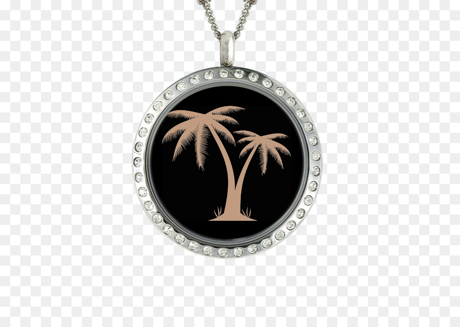 Medalhão，Necklace PNG