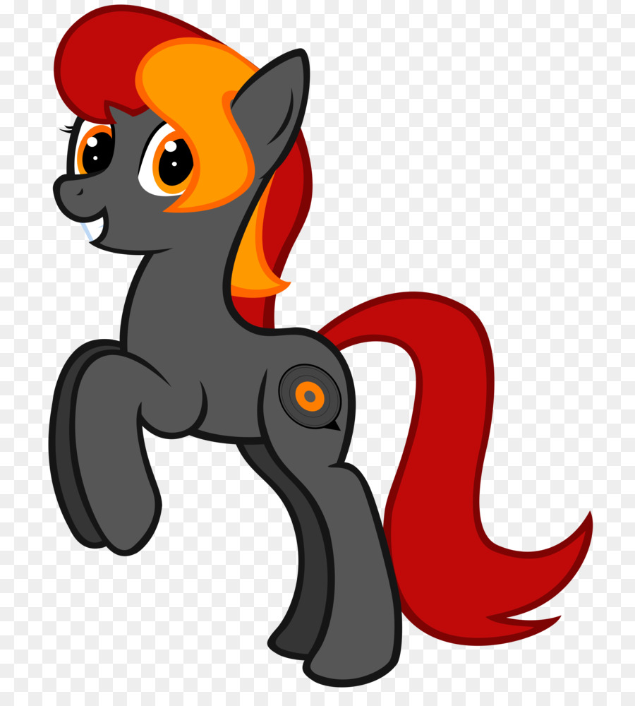 Gato，Cavalo PNG