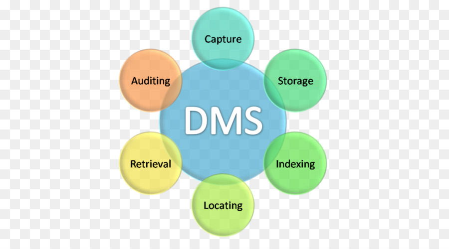 Diagrama Dms，Dms PNG