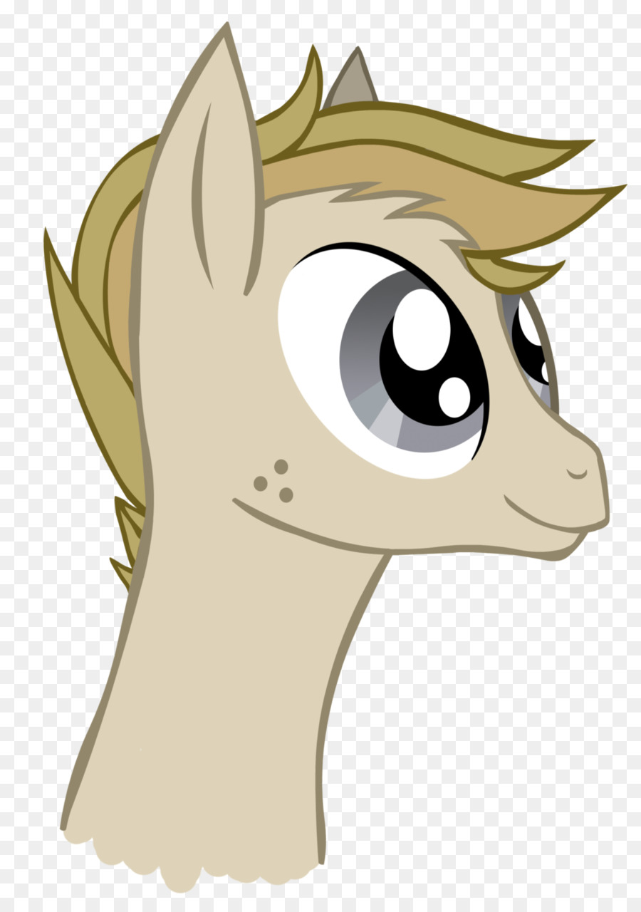 Gato，Cavalo PNG