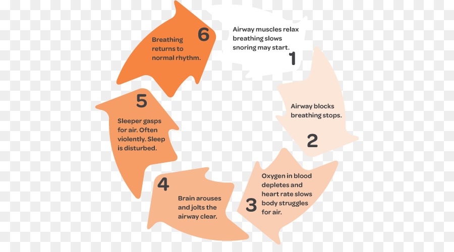 Ciclo De Apnéia Do Sono，Saúde PNG