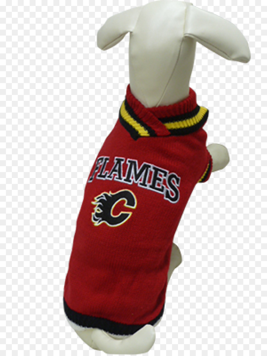 Calgary Flames，Liga Nacional De Hóquei PNG