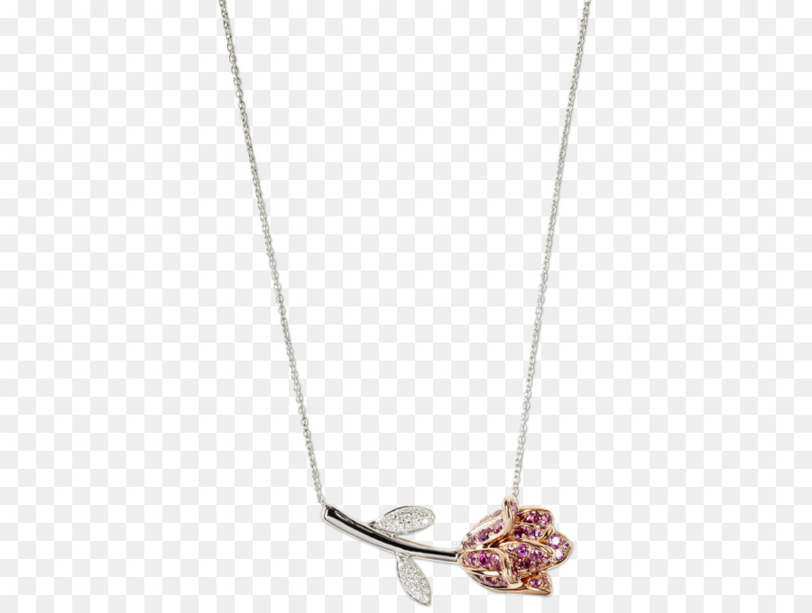 Medalhão，Necklace PNG