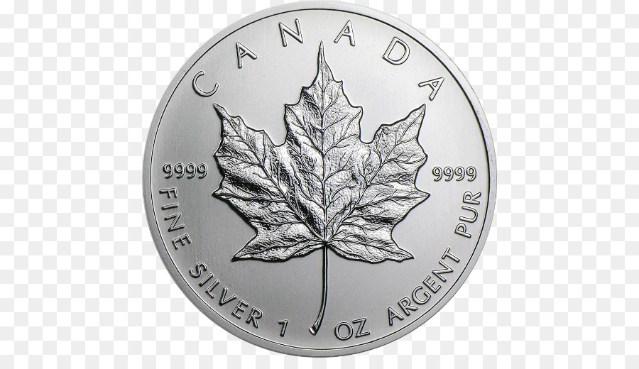 Canadá，Canadense De Prata Maple Leaf PNG