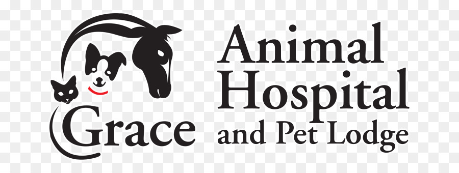 Cachorro，Grace Hospital De Animais E Pet Lodge PNG