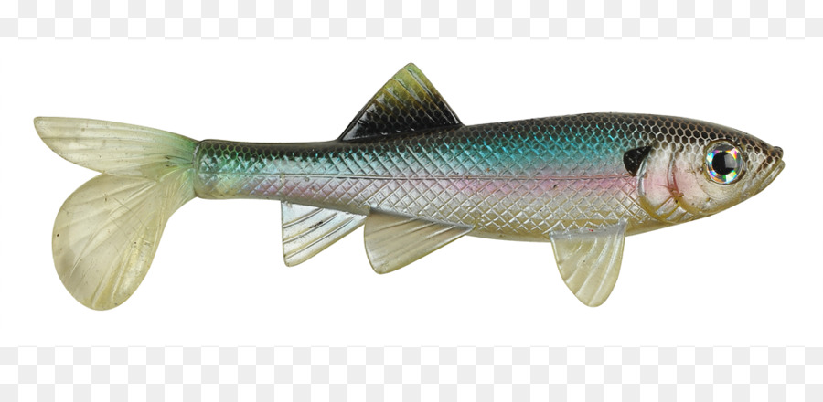 Isca De Peixe，Peixe PNG