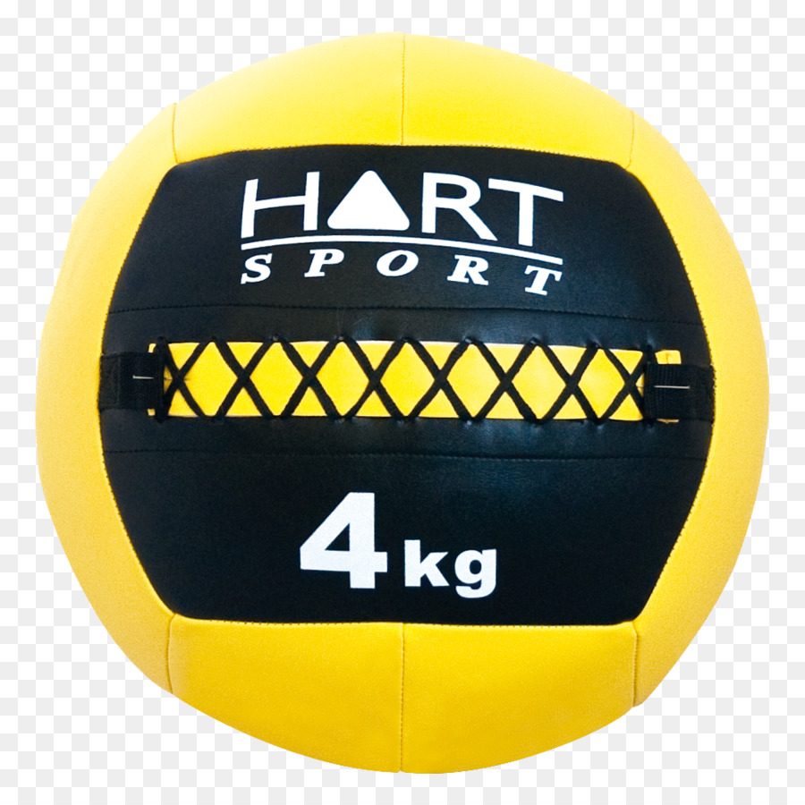 Bola，Voleibol PNG