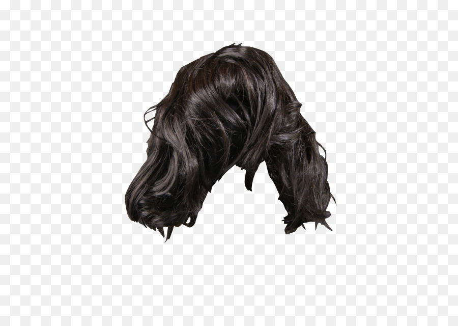 Peruca，Cabelo PNG